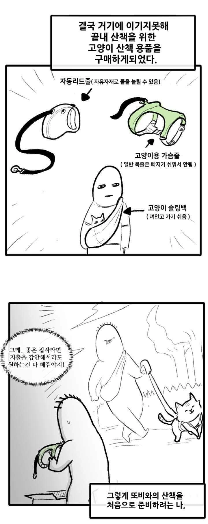 산책 가고 싶은 고양이 manhwa - 이미지 13