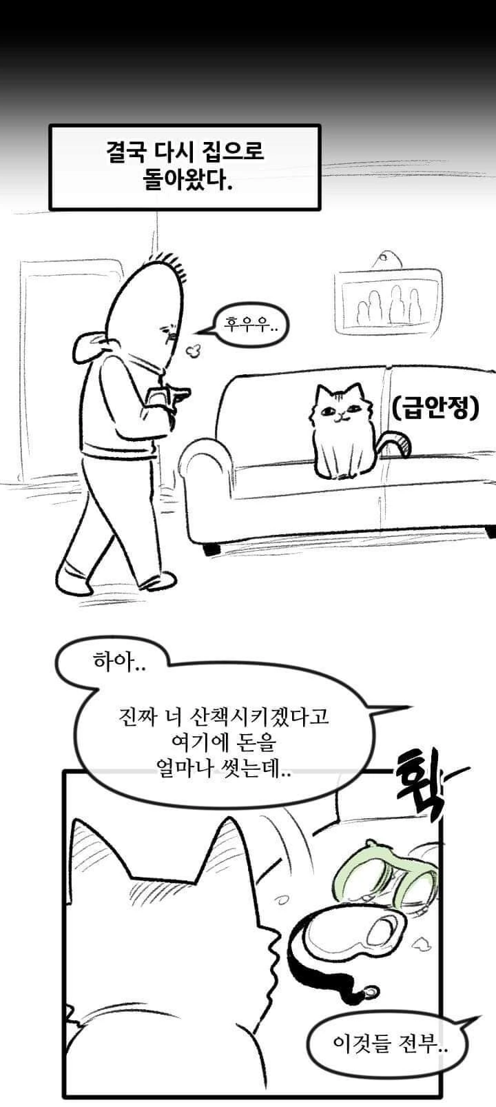 산책 가고 싶은 고양이 manhwa - 이미지 25