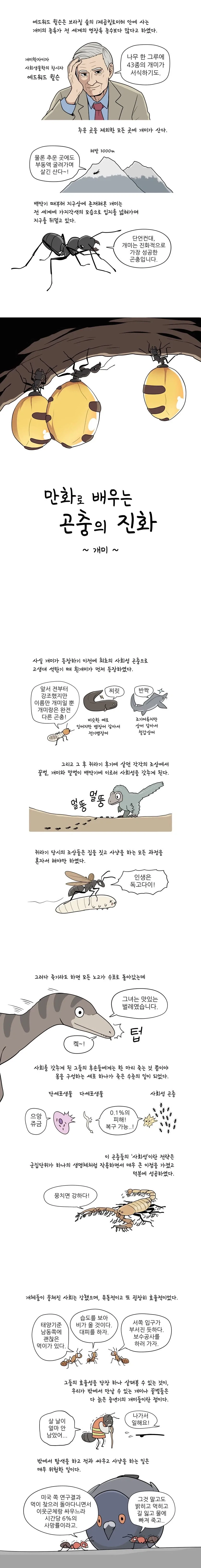 만화로 배우는 곤충의 진화 - 개미