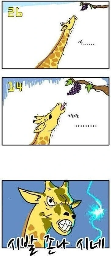 여우가 엘든링 하는 만화.Manhwa - 이미지 3