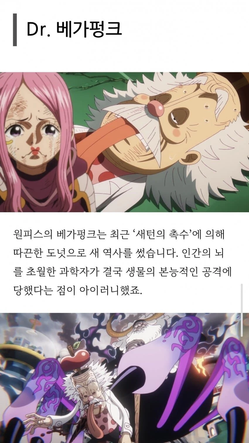 원피스)네이버 메인의 도넛 시리즈.jpg - 이미지 3