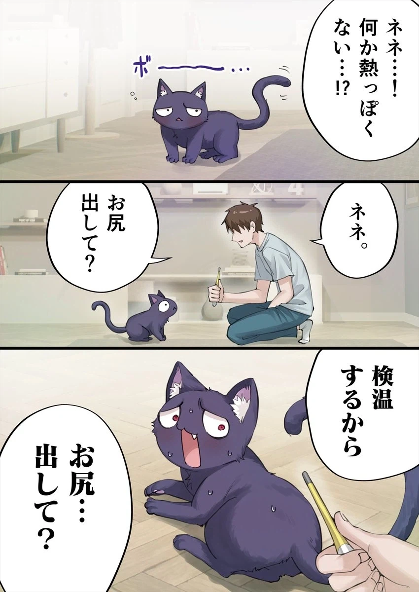 고양이 ㅇㄷ이를 막대기로 쑤시는.manhwa