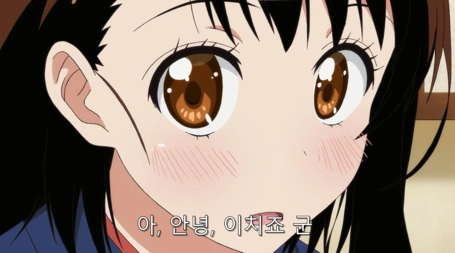 니세코이) 오노데라 부모님에게 인정 받은 이치죠 - 이미지 8