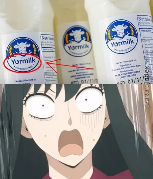 출처가 궁금한 필리핀 우유