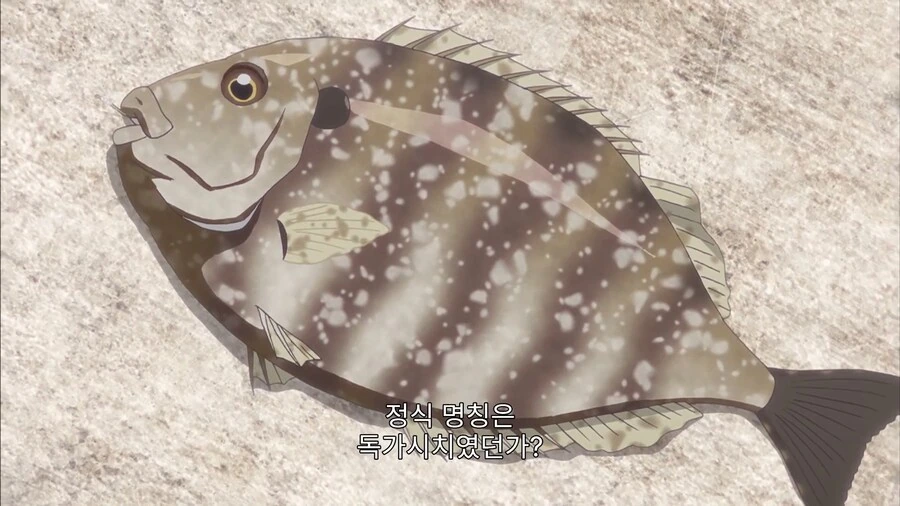 내 몸에는 독이 있으니 놔주거라 포식자들이여