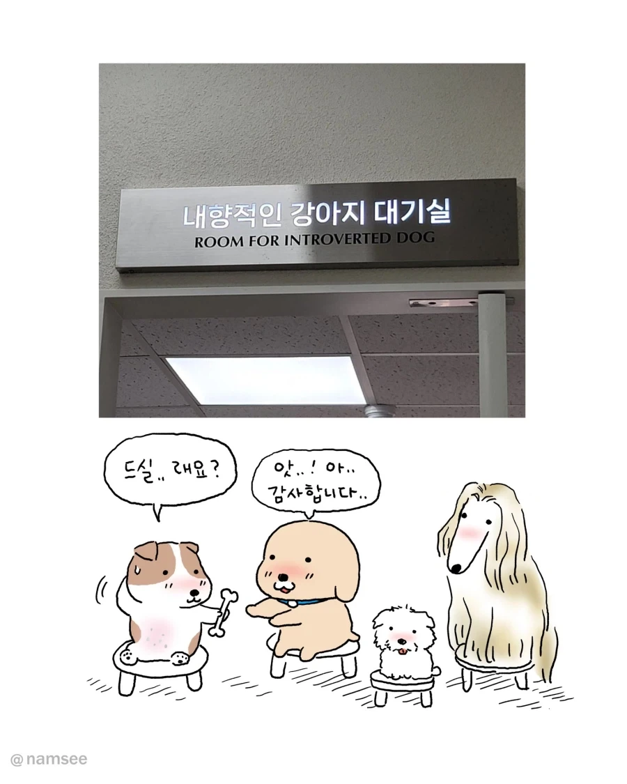 [만화] 강아지 대기실과 고양이 대기실
