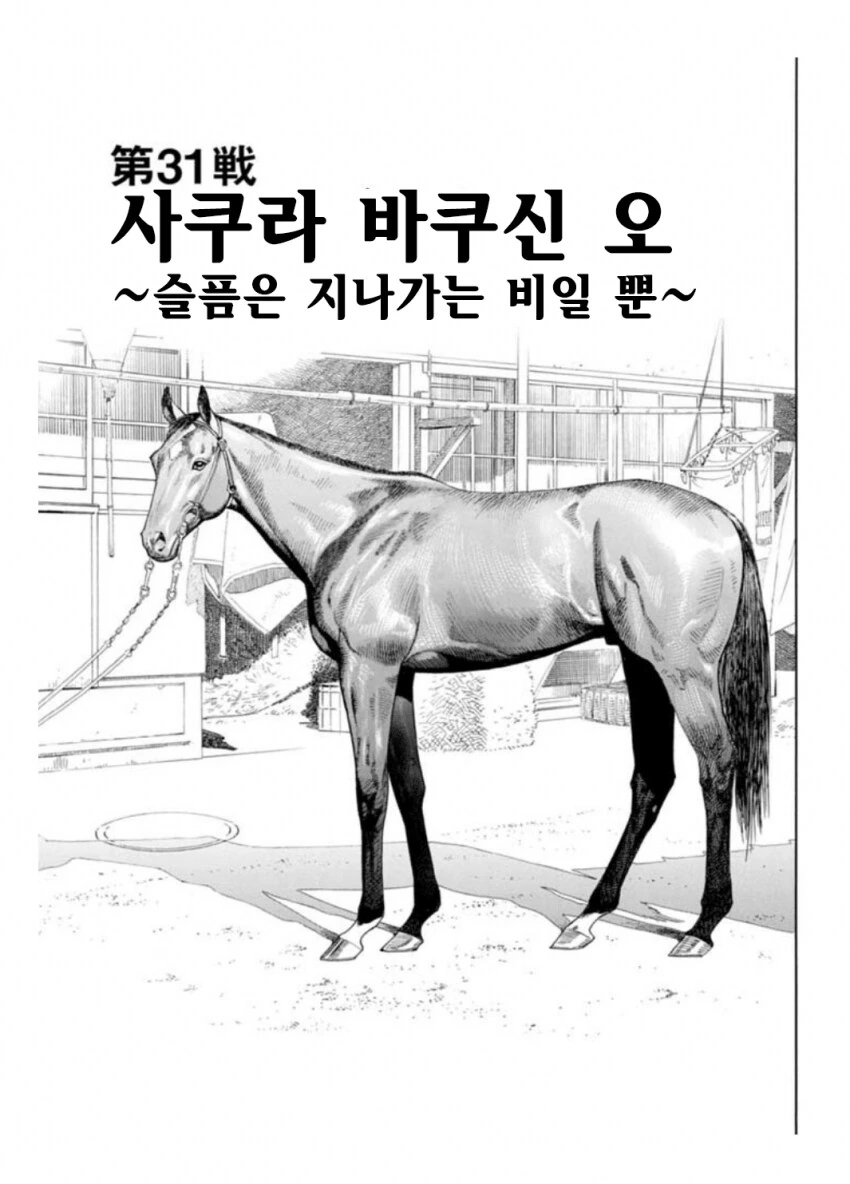 말딸?) 사쿠라 바쿠신 오 : 슬픔은 지나가는 비일 뿐.manhwa