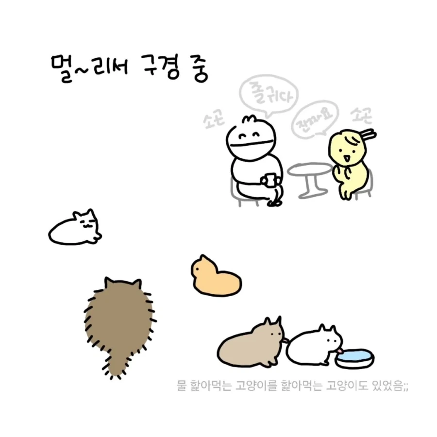 회사 친구랑 고양이 카페에 간 만화.manga - 이미지 2