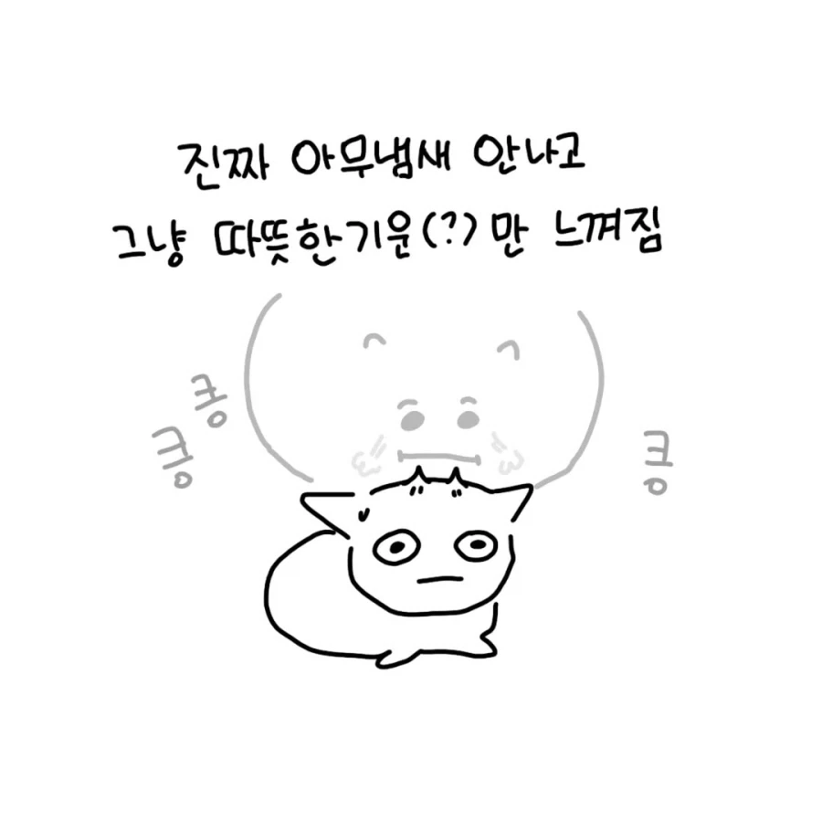 회사 친구랑 고양이 카페에 간 만화.manga - 이미지 8