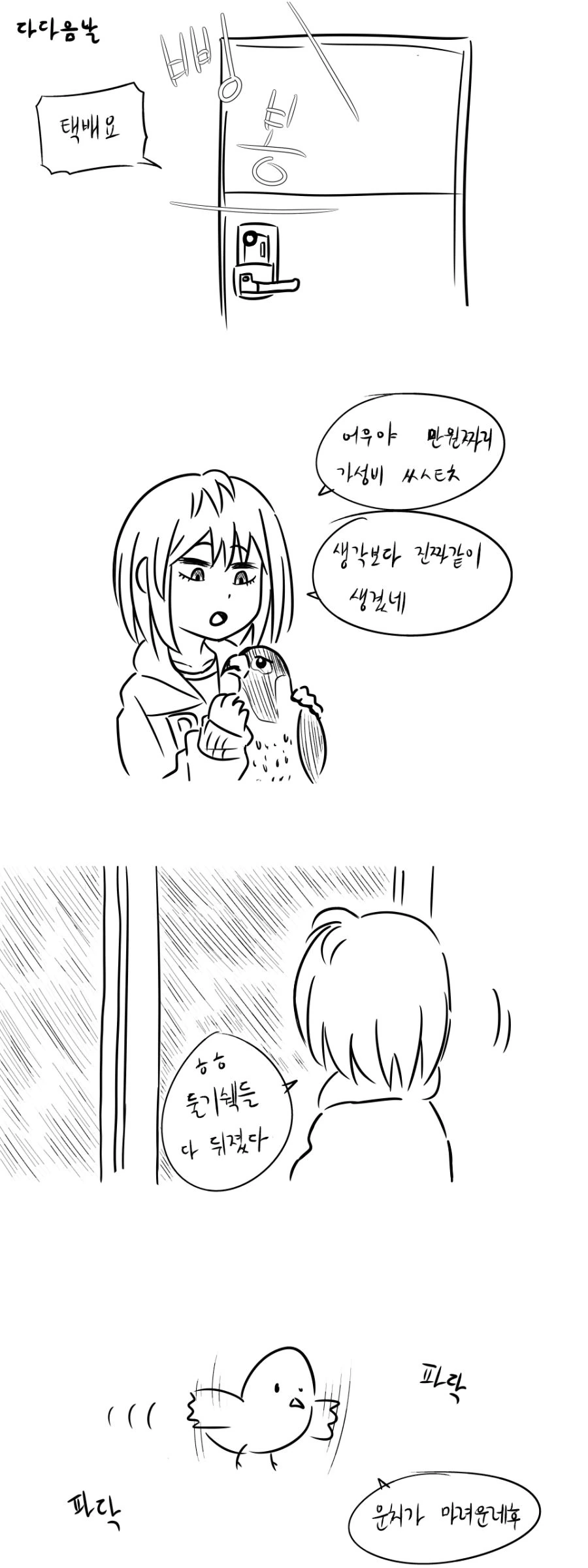 비둘기들이 똥 테러해서 빡친 여중생 만화.manwha - 이미지 7