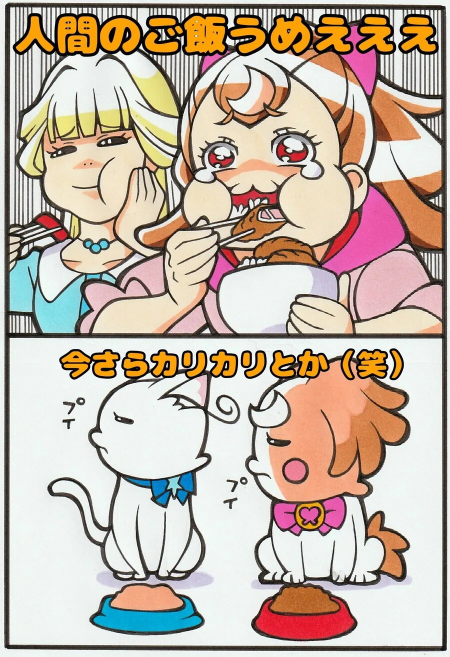 프리큐어)인간화의 부작용.jpg