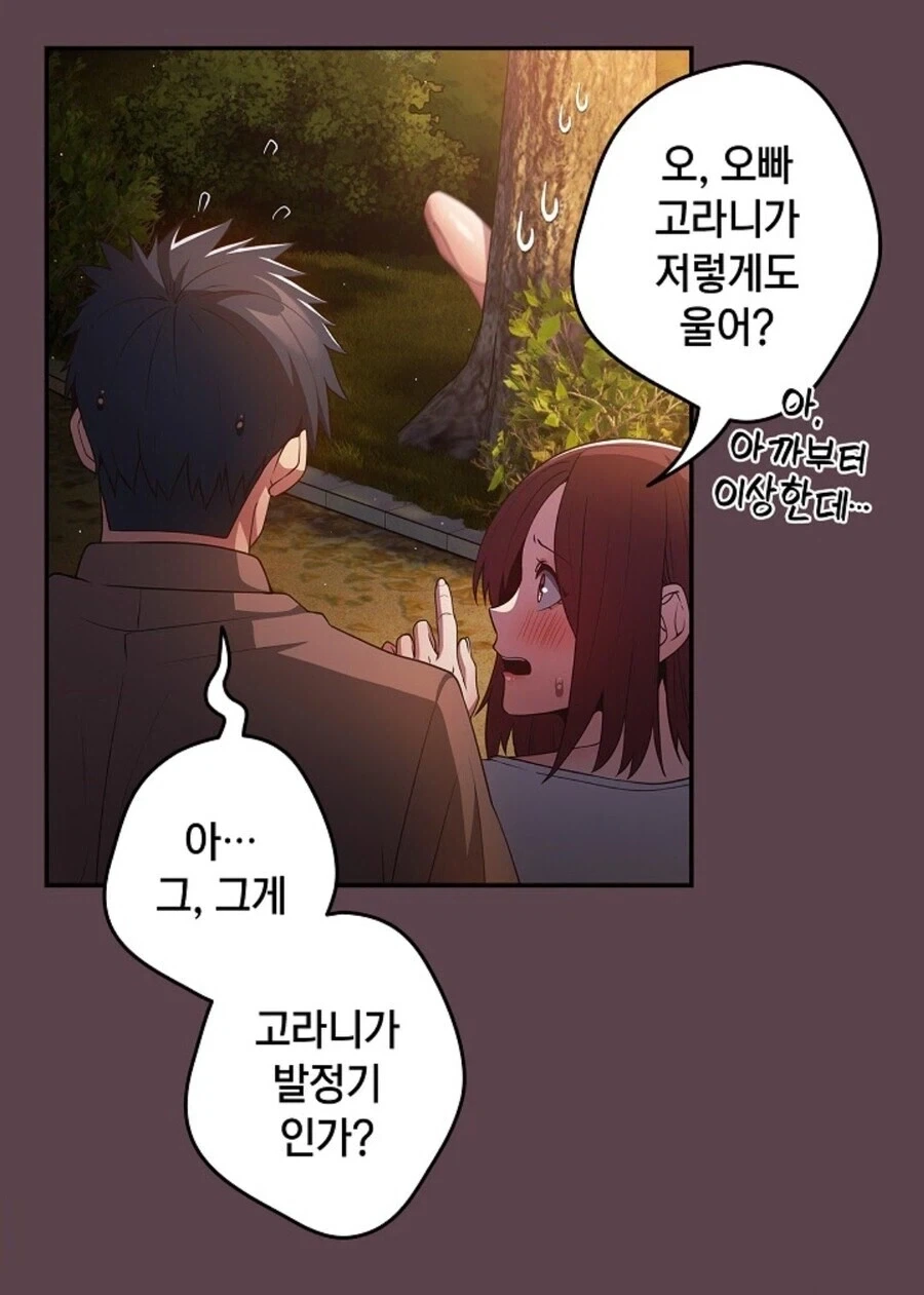 대한민국 고라니들 특징