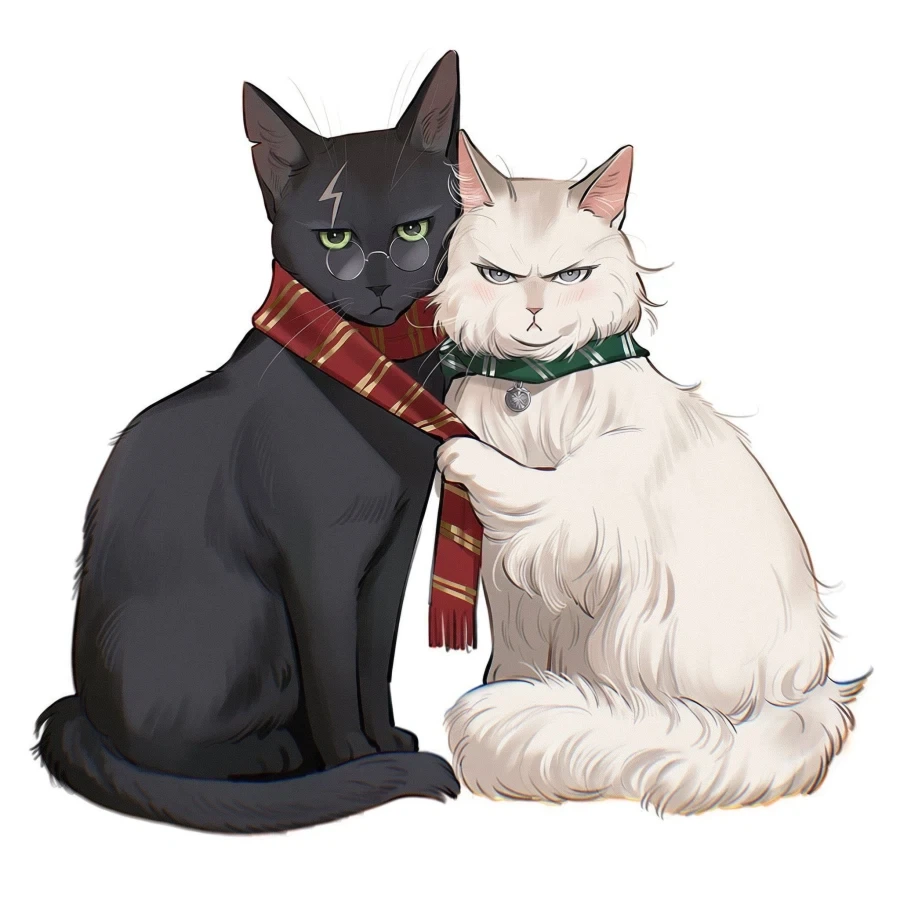 해리포터) 의외로 어울린다는 고양이.jpg