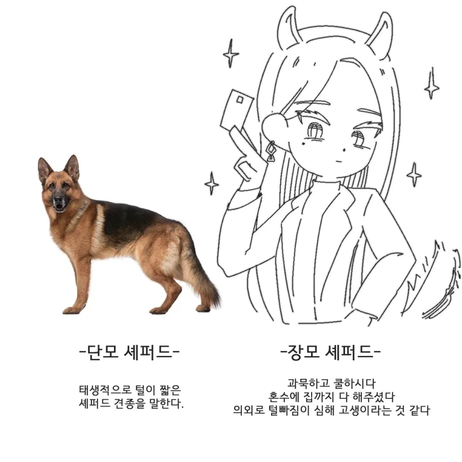 장모와 단모의 차이.manhwa - 이미지 3