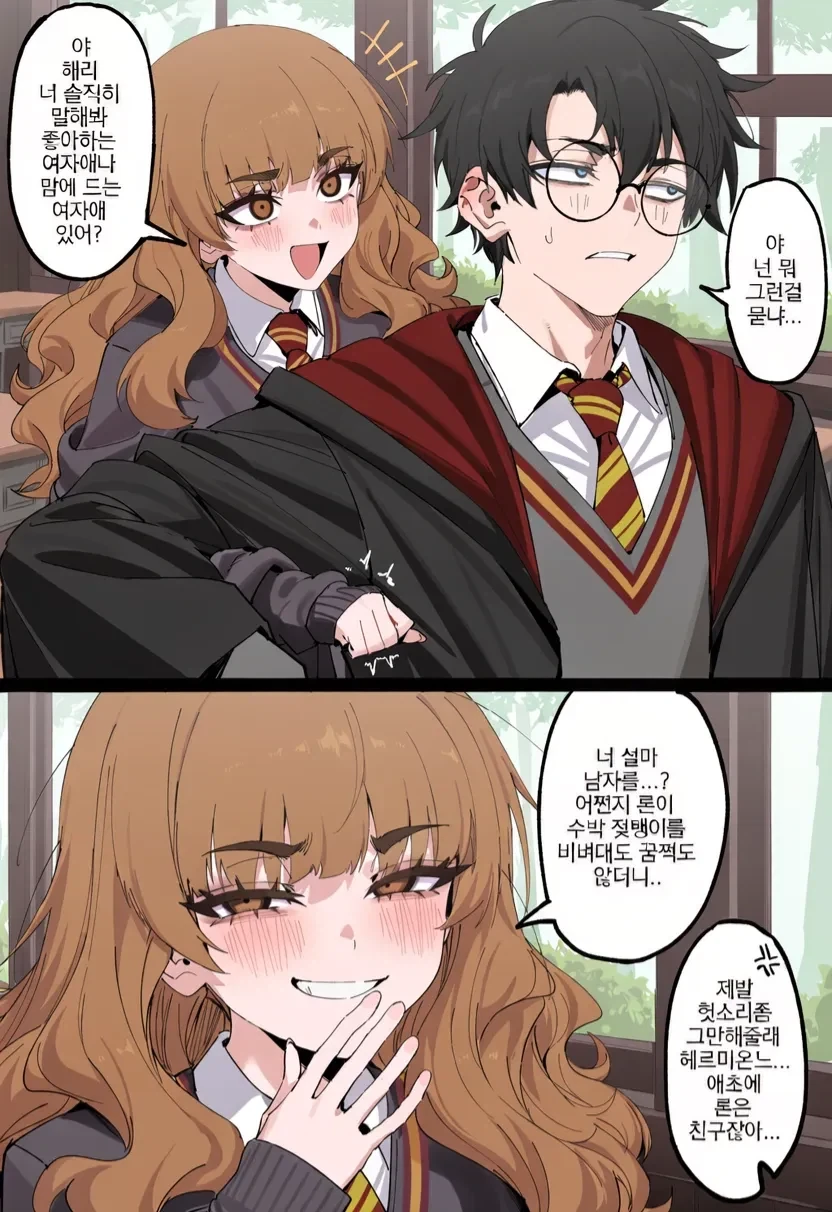 해리포터) 해리한테 이상형을 물어보는 헤르미온느 만화.manhwa