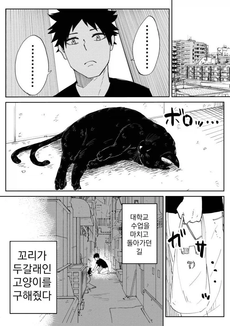 은혜갚은 고양이 만화