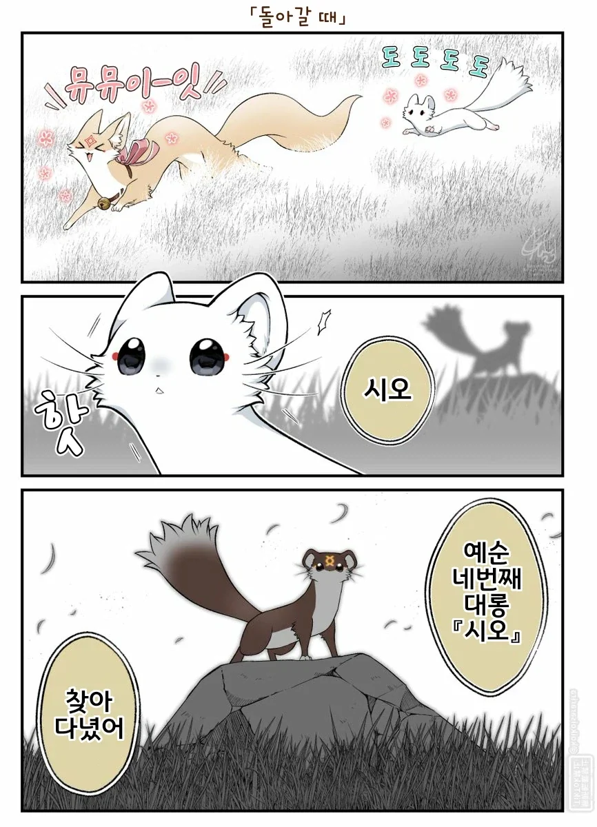 번역)시라타마를 마중나온 대롱여우.manhwa